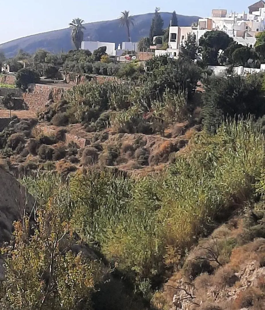 Cortijo Ferre, A Los Pies Del Castillo La Atalaya De Nijar